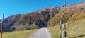 Low-angle of a road through sunlit grass yellowing trees on mountains clear sky background Royalty Free Stock Photo