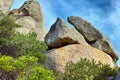 Low angle of rocks and boulders with a blue sky and lush green trees growing along hiking and trekking trails of Table Royalty Free Stock Photo