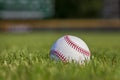 Low angle selective focus view of a baseball in grass at a ball park