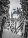 Low-angle shot of an aerial tram moving past snow-covered trees at Snowbird Mountain in Utah