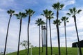 Low angle shot of Asian palmyra palms growing next to a lighthouse in the middle of a greenfield