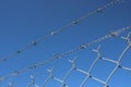 Low-angle shot of a barbed wire against the clear blue sky Royalty Free Stock Photo