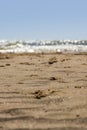 Low angle shot of the beach looking towards Frinton with shallow depth of field