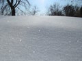 Low angle shot of a beautiful glossy snow ground in winter and the bare trees in the background Royalty Free Stock Photo