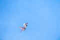 Low angle shot of a beautiful view of a military plane making an air show in the sky