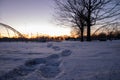 Low angle shot of a big trace on the snow in the park and naked trees in the background Royalty Free Stock Photo