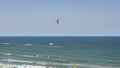 Low angle shot of a bird soaring high to the sky Royalty Free Stock Photo