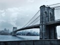 Low angle shot of birds flying over the Brooklyn Bridge in New York City, USA Royalty Free Stock Photo