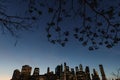 Low angle shot of the cityscape of New York City, USA at sunset Royalty Free Stock Photo