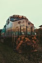 Low angle shot of a colorful train in a field during sunset