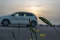Low angle shot of a defocused car on road with setting sun in the background and wild plants in the front.