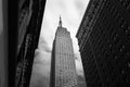 Low angle shot of the Empire State building of New York City, USA in grayscale Royalty Free Stock Photo
