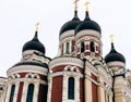 Low angle shot of the exterior of Alexander Nevsky Cathedral with black domes in Tallinn, Estonia