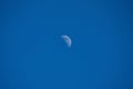 Low angle shot of the first quarter moon at daytime - perfect for wallpapers Royalty Free Stock Photo