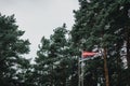 Low angle shot of the flag of Latvia in a park