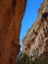 Low angle shot of greenery in canyon of rocky mountains in Zion National Park, Utah on a sunny day Royalty Free Stock Photo