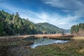 Low angle shot of a lake in the Goldstream Park, Vancouver Island, BC Canada Royalty Free Stock Photo