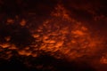 Low Angle Shot Of The Mesmerizing Orange Clouds Above The Sky Captured At Sunset