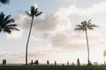 Low angle shot of palm trees with people enjoying the beautiful view of the ocean Royalty Free Stock Photo