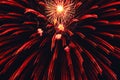 Low-angle shot of the red firework in the dark night sky Royalty Free Stock Photo