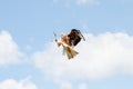 Low angle shot of a red kite hunting in the air under a blue cloudy sky in the countryside Royalty Free Stock Photo