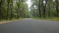 Low-angle shot of a road through the forest in Karnataka, India Royalty Free Stock Photo