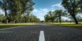Empty Park Road Lined with Green Trees Under Blue Sky Royalty Free Stock Photo