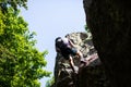 Low angle shot of rock climbers in Csesznek Hungary going up a cliff in a natural forest environment