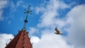 Low angle shot of a seagull flying on blue cloudy sky near to the bell tower of a church