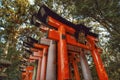 Low-angle shot of Senbon Torii in Japan