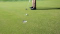 Low section of senior male golfer putting ball into hole at golf course Royalty Free Stock Photo