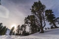 Low angle shot of the snowy Austrian Alps with traces of skis along with the tall trees