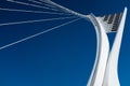 Low angle shot of the structural pennon and cables of the Flaiano bridge in Pescara, Abruzzo, Italy