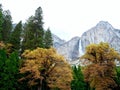 Low angle shot of trees and a waterfall in the background in autumn in Yosemite National Park