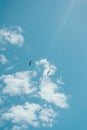 Low-angle shot of two seagulls soaring gracefully in the sky against a backdrop of white clouds Royalty Free Stock Photo