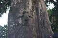 Low angle shot of a wooden figure of a girl on a big tree trunk