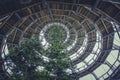 Low angle shot of a wooden tower covered with green plants in the Bavarian national park Royalty Free Stock Photo