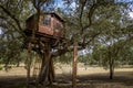 Low angle shot of a wooden treehouse with windows in the middle of a forest under a blue sky