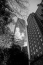 Low angle of skyscrapers in Charlotte, North Carolina shot in grayscale