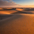 The low-angle sunlight creates a warm glow on the sand, highl Royalty Free Stock Photo