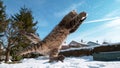 LOW ANGLE: Tabby cat reaches out with its paws to catch a snowball in mid-air.
