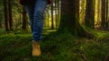 LOW ANGLE: Unrecognizable senior woman treks around the tranquil green forest.