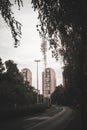 Low-angle vertical of a cityscape , road with trees near, gloomy sky background Royalty Free Stock Photo