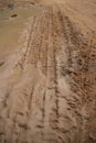 Low angle vertical closer medium shot of muddy jungle road with soft mud on the left side and fresh tire track