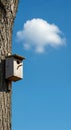 A simple wooden birdhouse is attached to a textured tree trunk, set against a vibrant blue sky with a single white cloud, captured Royalty Free Stock Photo