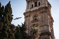 Low angle vertical shot of an ancient beautifully architectured building in Malaga, Spain