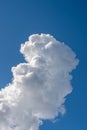 Low angle vertical shot of a cloud named cumulus clouds