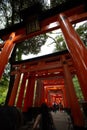 Low angle vertical shot of Fushimi Inari Taisha Shrine in Kyoto, Japan