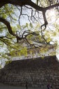 Low angle vertical shot of an Osaka Castle in Chuo-ku, Osaka, Japan