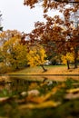 Beautiful fall day with colorful trees and reflection in channel Royalty Free Stock Photo